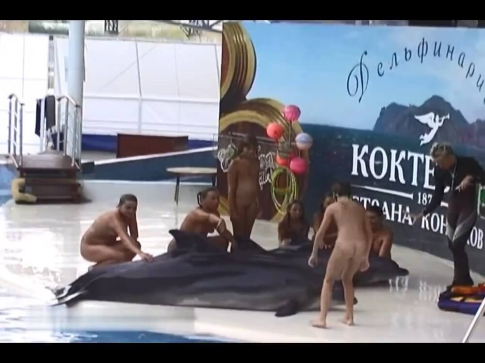 Relaxing at the dolphinarium - Nudism helps strengthen friendships